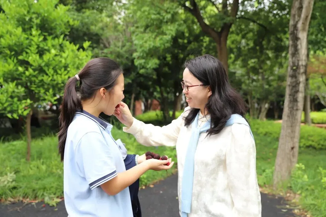 【助力中考】苦杨成甜,青春无悔——“扬眉吐气·采杨梅”主题教育活动-第15张图片-四季读书网 【助力中考】苦杨成甜,青春无悔——“扬眉吐气·采杨梅”主题教育活动-第15张图片-四季读书网