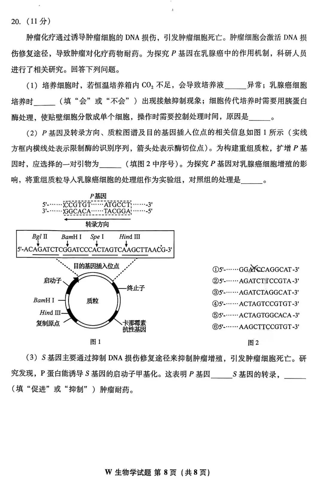 真题速递丨2026年安徽省高考生物真题-第8张图片-四季读书网