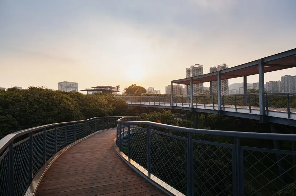最新真题解析丨东南大学2026年建筑快题深度剖析&考点讲解&方案范图!-第23张图片-四季读书网