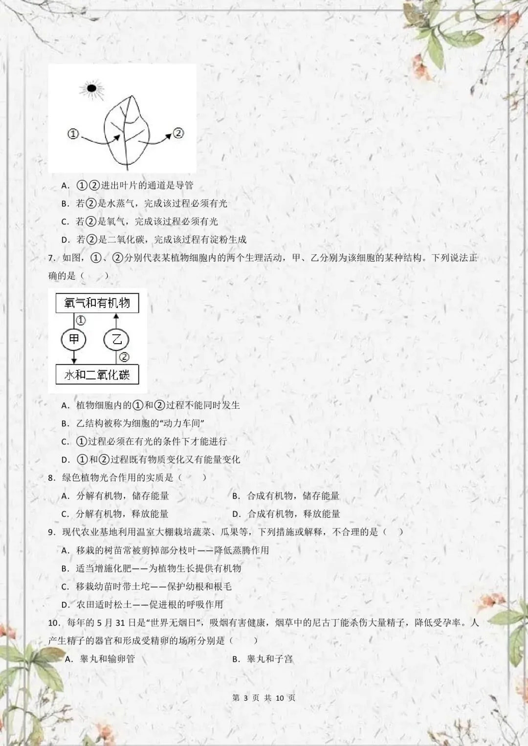 七年级下册生物人教版期末必刷模拟卷(试卷+答案)电子版可下载!-第5张图片-四季读书网 七年级下册生物人教版期末必刷模拟卷(试卷+答案)电子版可下载!-第5张图片-四季读书网
