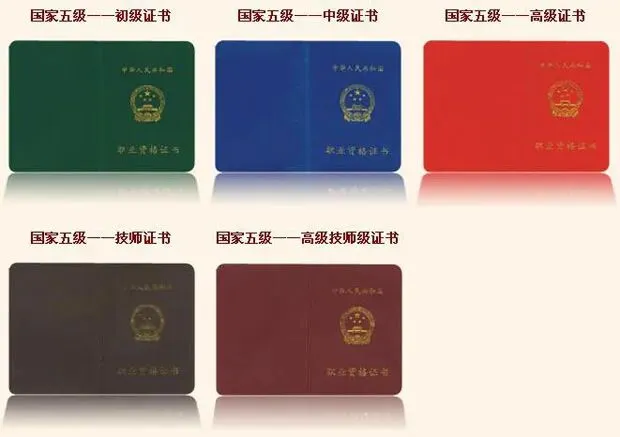 初三家长必看:别等中考出分再择校!现在布局,才是给孩子最好的退路!-第29张图片-四季读书网