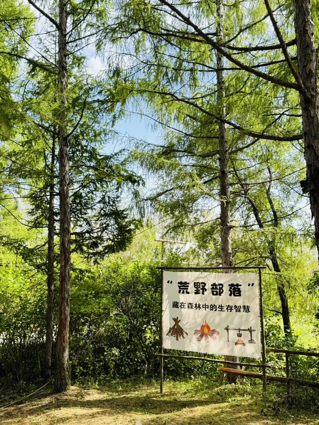 【中考假单日研学】荒野生存|高空崖降+户外取火+户外包扎+户外结绳+净化水源+意志的磨炼+勇气的挑战+户外野餐-第44张图片-四季读书网 【中考假单日研学】荒野生存|高空崖降+户外取火+户外包扎+户外结绳+净化水源+意志的磨炼+勇气的挑战+户外野餐-第44张图片-四季读书网