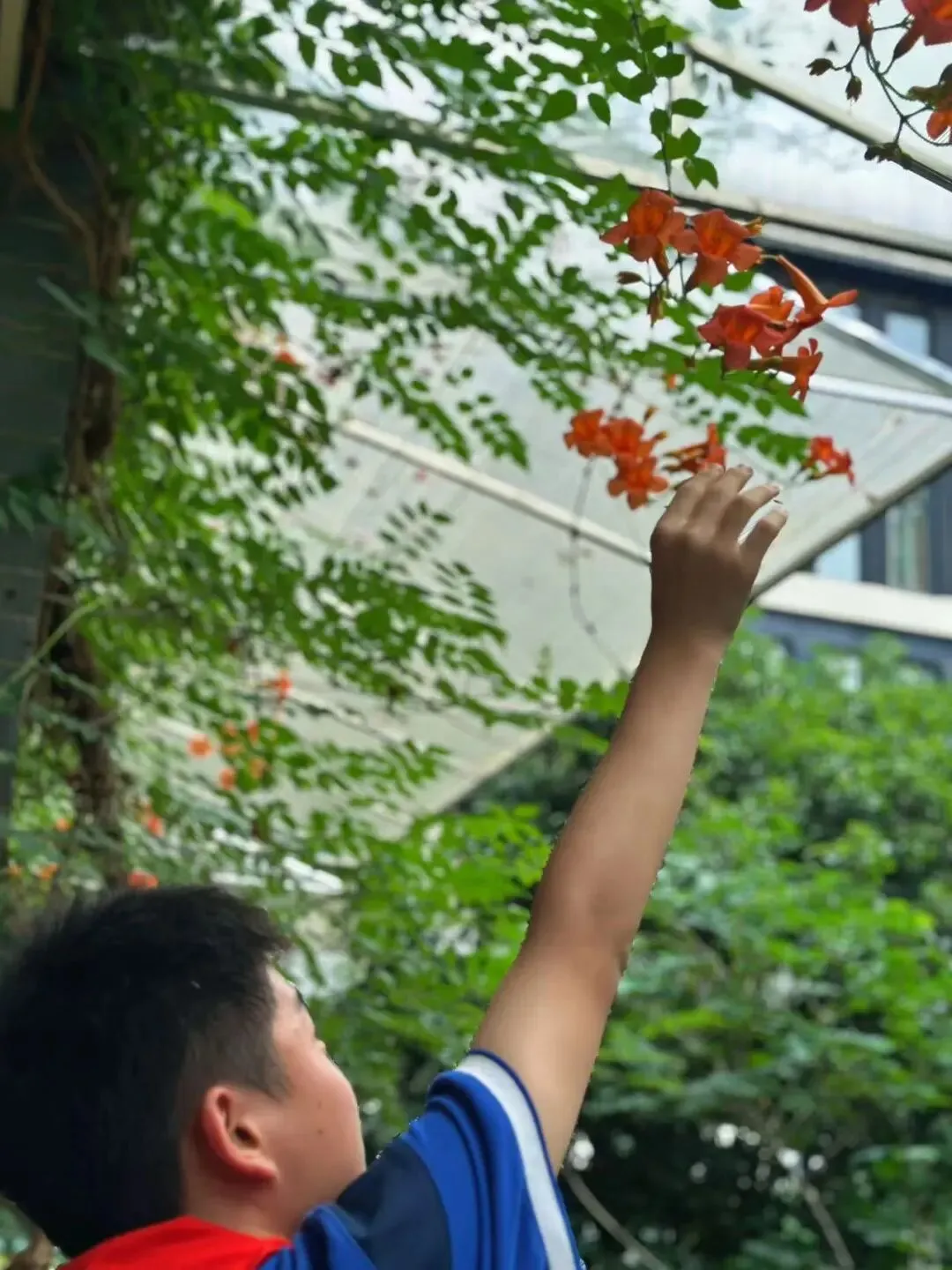 芒种至,勤耕耘,少年逐梦赴中考-第5张图片-四季读书网 芒种至,勤耕耘,少年逐梦赴中考-第5张图片-四季读书网