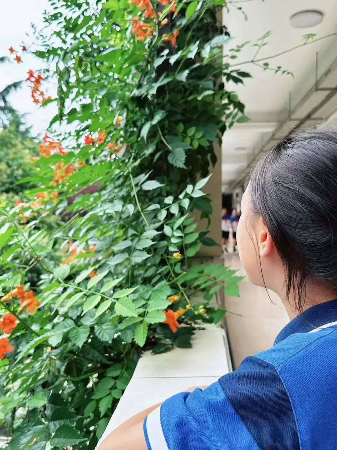 芒种至,勤耕耘,少年逐梦赴中考-第7张图片-四季读书网 芒种至,勤耕耘,少年逐梦赴中考-第7张图片-四季读书网
