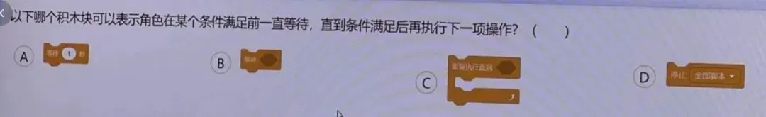 复赛真题(2)||2025信息素养大赛图形化编程小低组复赛真题及答案(2)-第5张图片-四季读书网 复赛真题(2)||2025信息素养大赛图形化编程小低组复赛真题及答案(2)-第5张图片-四季读书网