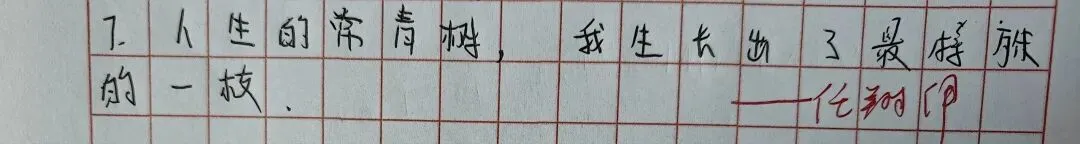 中考高考:成长征途绽火花2-第15张图片-四季读书网 中考高考:成长征途绽火花2-第15张图片-四季读书网