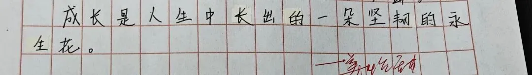 中考高考:成长征途绽火花2-第16张图片-四季读书网 中考高考:成长征途绽火花2-第16张图片-四季读书网