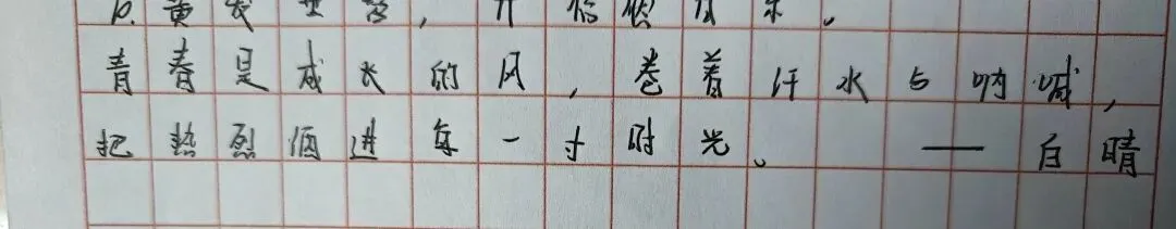 中考高考:成长征途绽火花2-第23张图片-四季读书网 中考高考:成长征途绽火花2-第23张图片-四季读书网