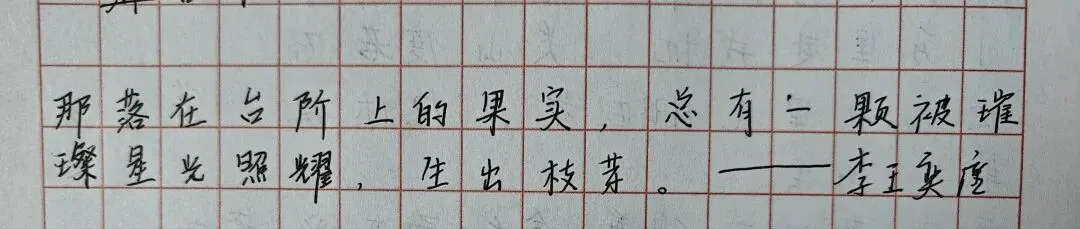 中考高考:成长征途绽火花2-第24张图片-四季读书网 中考高考:成长征途绽火花2-第24张图片-四季读书网