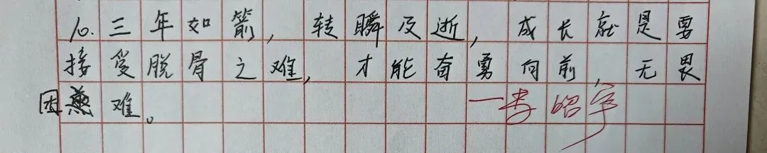 中考高考:成长征途绽火花2-第26张图片-四季读书网 中考高考:成长征途绽火花2-第26张图片-四季读书网