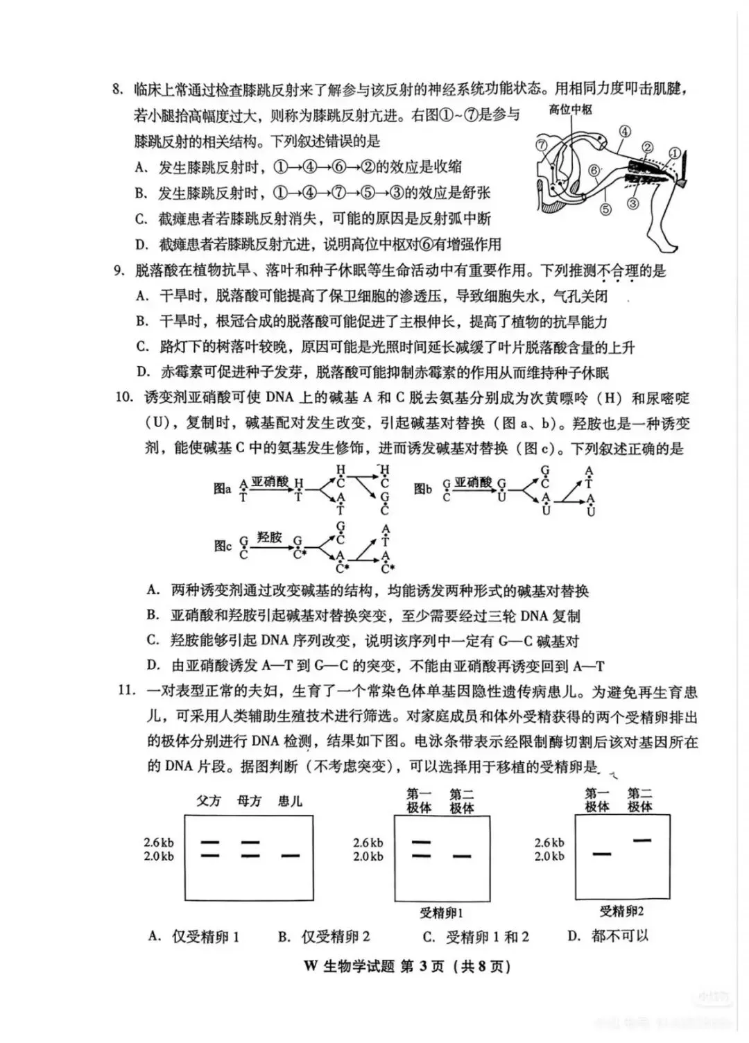2026年安徽省高考生物真题原版-第5张图片-四季读书网 2026年安徽省高考生物真题原版-第5张图片-四季读书网