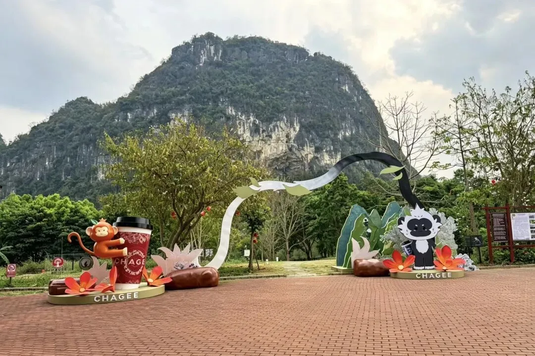 高考加油!中考加油!考生学子专属福利|体育场馆免费开放,景区特惠放肆嗨玩!-第19张图片-四季读书网