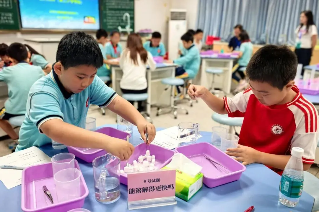 没有试卷的考试,塘厦18所小学到底在考什么?-第4张图片-四季读书网 没有试卷的考试,塘厦18所小学到底在考什么?-第4张图片-四季读书网