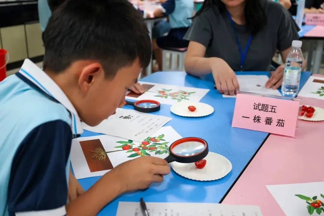 没有试卷的考试,塘厦18所小学到底在考什么?-第9张图片-四季读书网 没有试卷的考试,塘厦18所小学到底在考什么?-第9张图片-四季读书网
