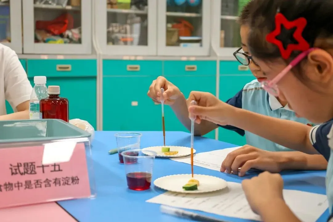没有试卷的考试,塘厦18所小学到底在考什么?-第12张图片-四季读书网 没有试卷的考试,塘厦18所小学到底在考什么?-第12张图片-四季读书网