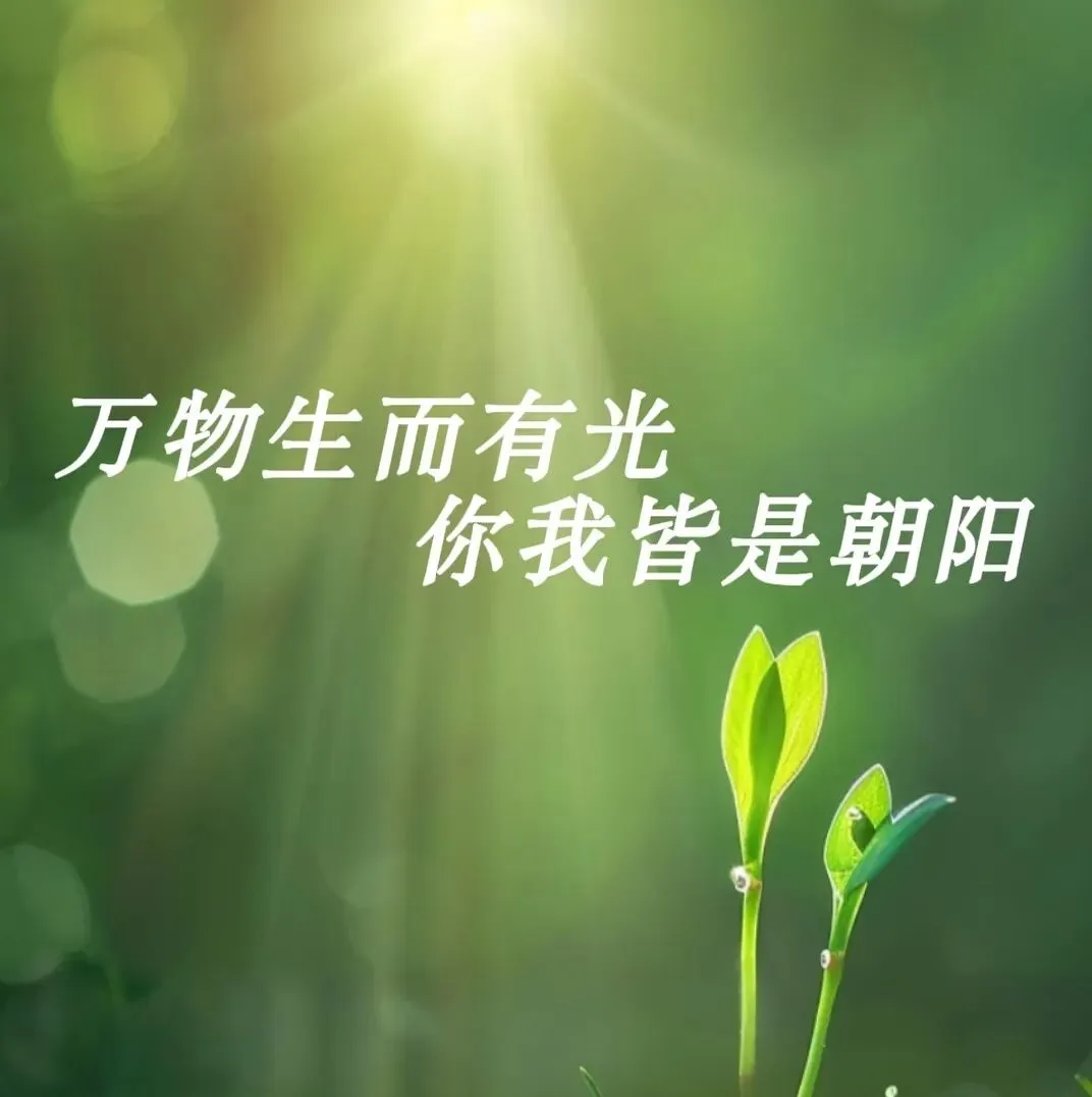 《中考现场作文避坑指南:掌握这6点考场写作要点,作文直上53+》-第3张图片-四季读书网