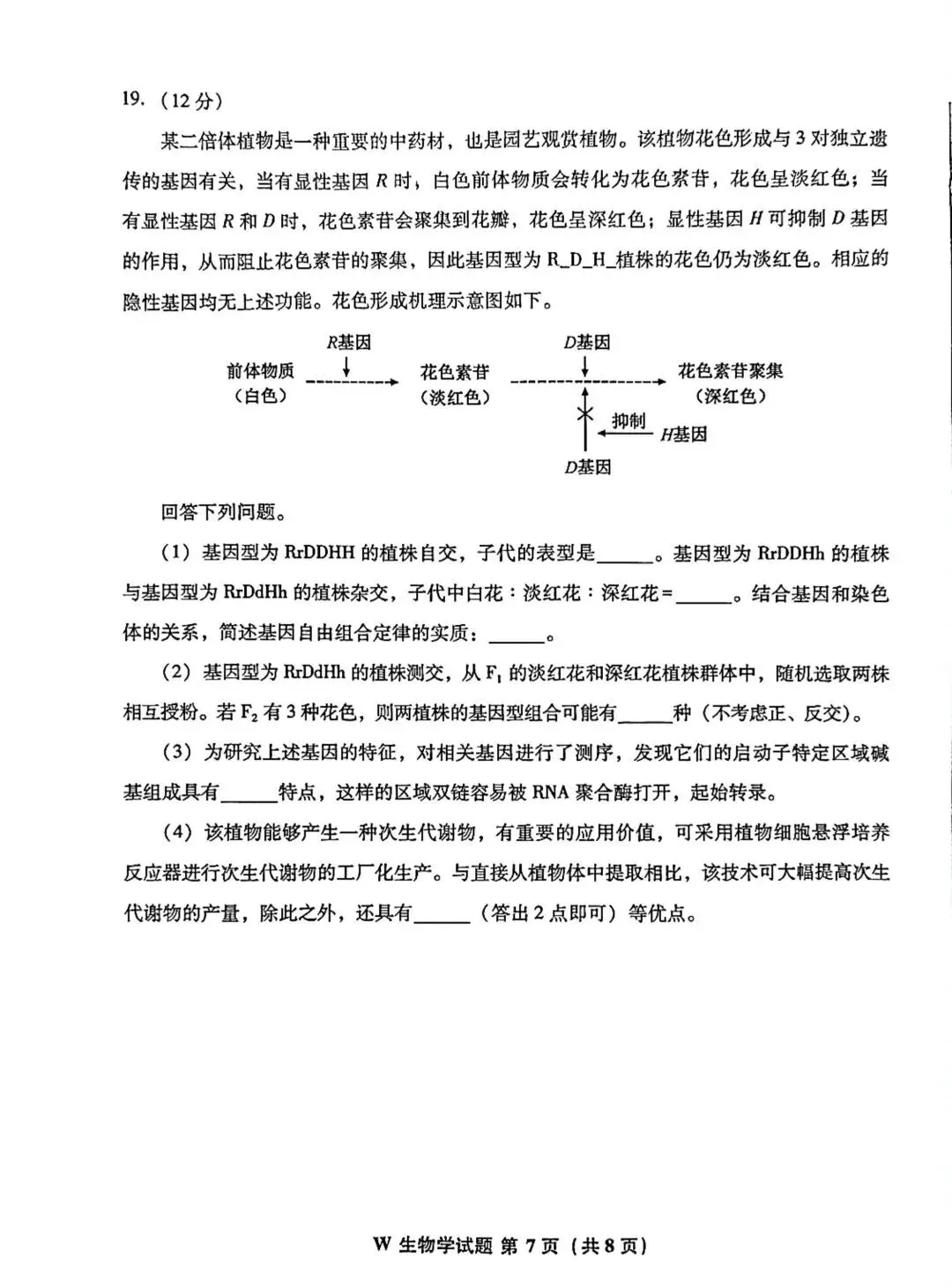 更新 | 2026年全国各省高考真题及答案全网超全汇总!-第65张图片-四季读书网 更新 | 2026年全国各省高考真题及答案全网超全汇总!-第65张图片-四季读书网