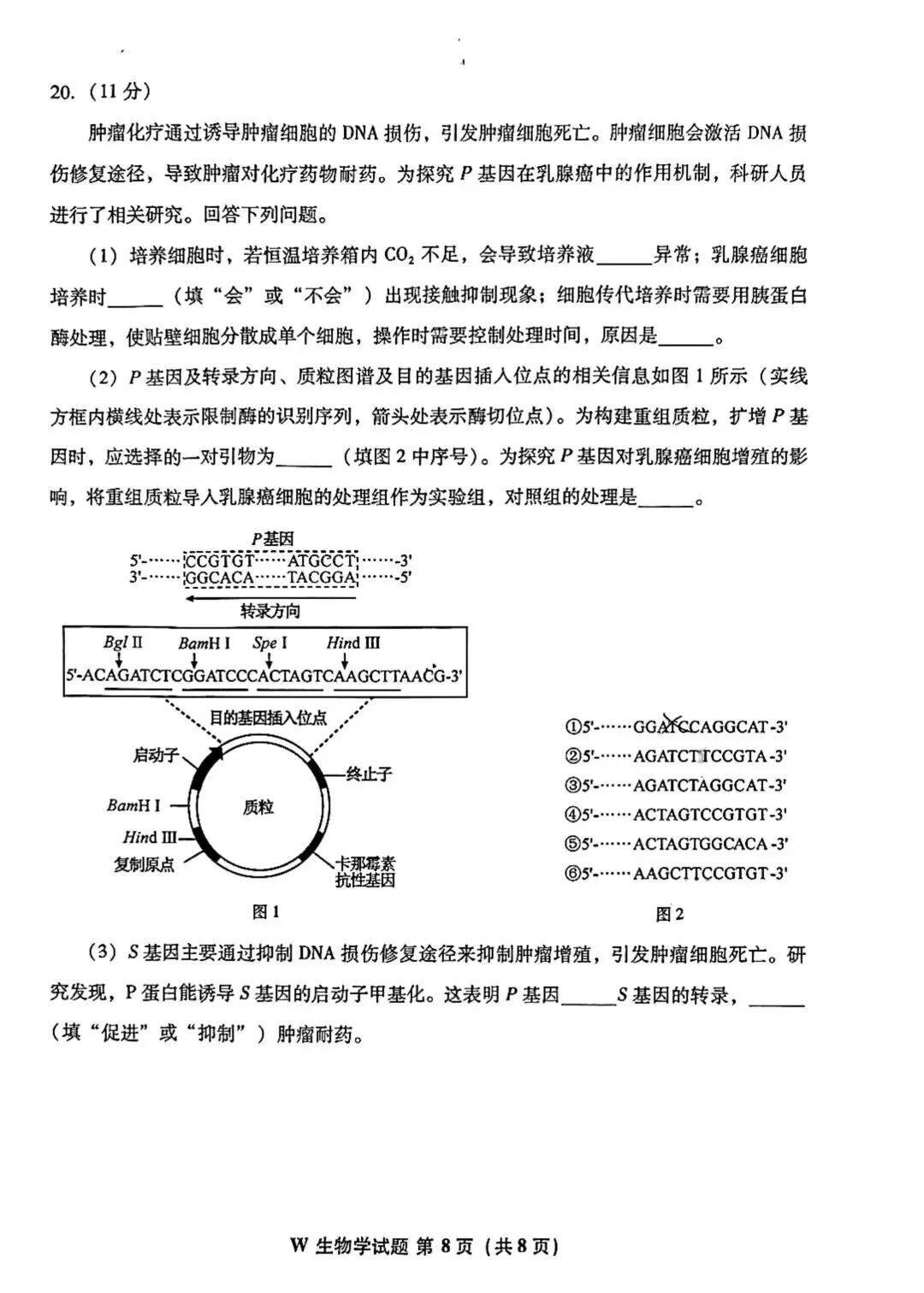 更新 | 2026年全国各省高考真题及答案全网超全汇总!-第66张图片-四季读书网 更新 | 2026年全国各省高考真题及答案全网超全汇总!-第66张图片-四季读书网