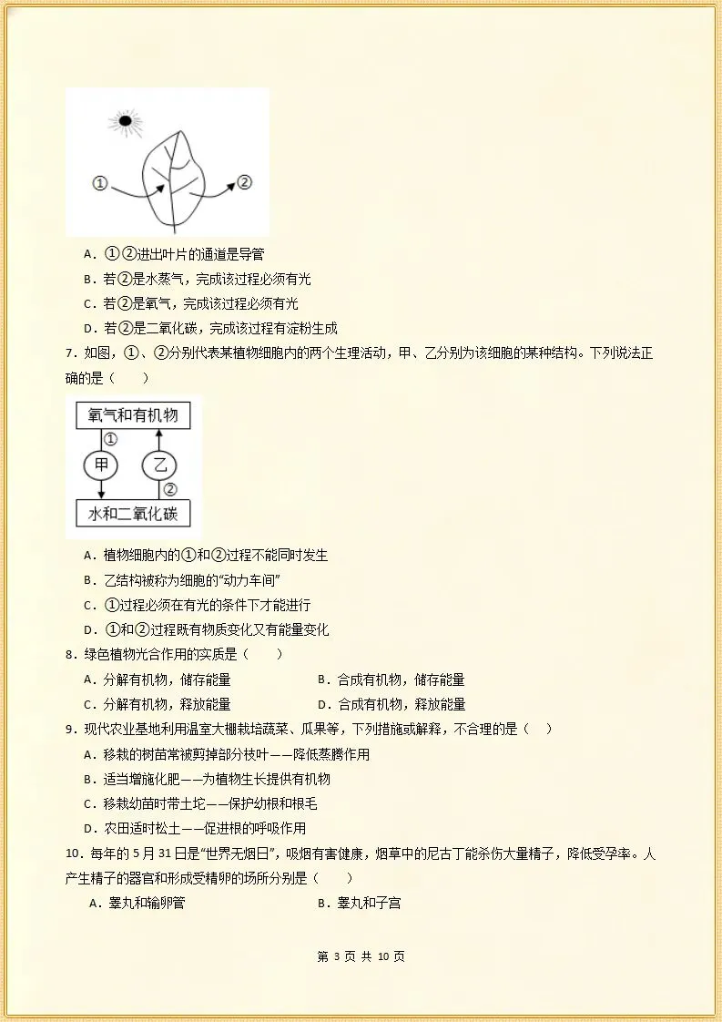【期末试卷】2025-2026学年七下生物期末模拟卷.素质培优,含答案,可打印-第4张图片-四季读书网 【期末试卷】2025-2026学年七下生物期末模拟卷.素质培优,含答案,可打印-第4张图片-四季读书网
