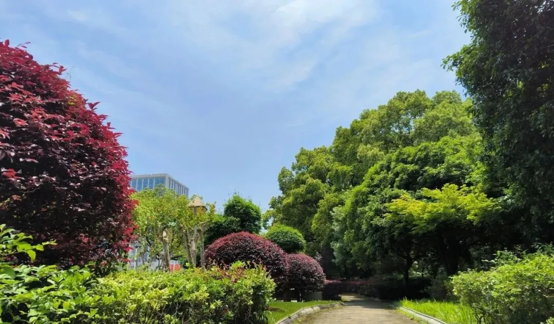 【考公早准备】2027年考试录用公务员《行政职业能力测验》省际联考试题(省市卷/A类)-第1张图片-四季读书网 【考公早准备】2027年考试录用公务员《行政职业能力测验》省际联考试题(省市卷/A类)-第1张图片-四季读书网