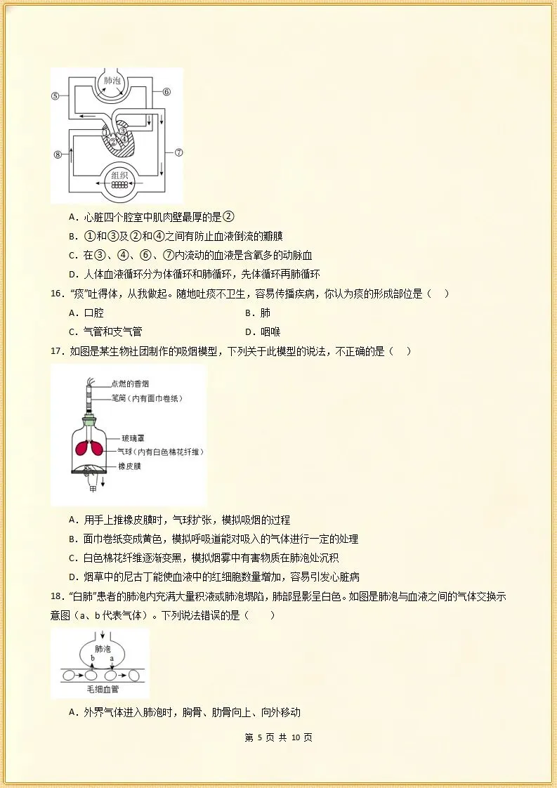 【期末试卷】2025-2026学年七下生物期末模拟卷.素质培优,含答案,可打印-第6张图片-四季读书网 【期末试卷】2025-2026学年七下生物期末模拟卷.素质培优,含答案,可打印-第6张图片-四季读书网