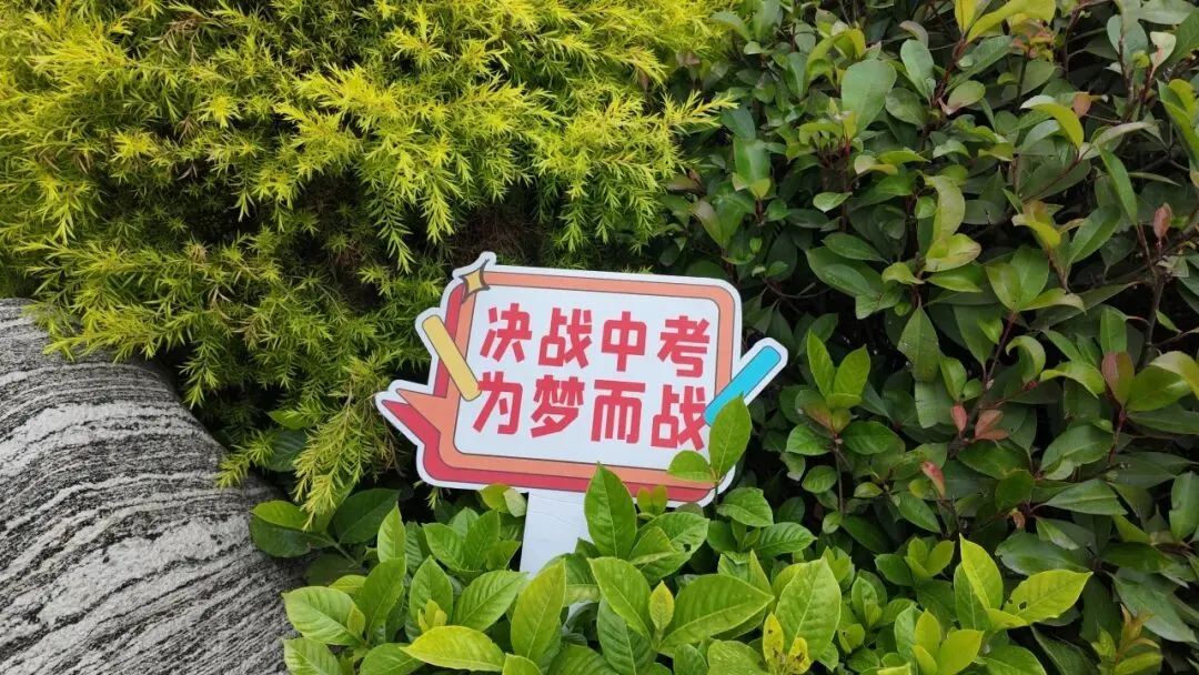 今天,大家都在为中考加油-第12张图片-四季读书网