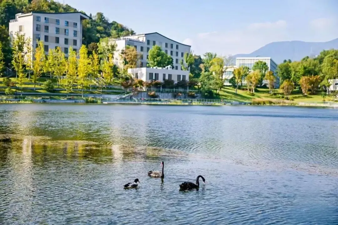 中考后转轨国际高中怎么选?威雅学校2026届录取成果告诉您答案!-第18张图片-四季读书网
