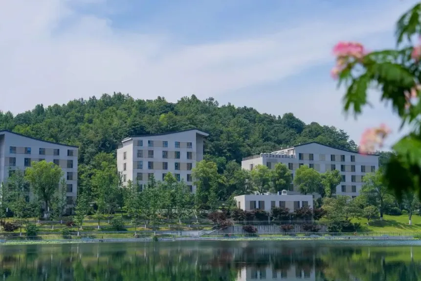 中考后转轨国际高中怎么选?威雅学校2026届录取成果告诉您答案!-第20张图片-四季读书网