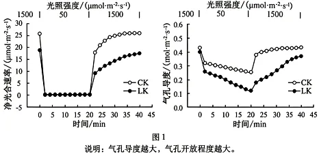 高考真题权威解读丨2026年安徽省高考生物试题参考答案及试题权威超详细解答-第18张图片-四季读书网