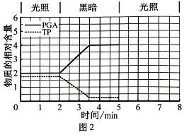 高考真题权威解读丨2026年安徽省高考生物试题参考答案及试题权威超详细解答-第19张图片-四季读书网