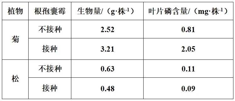 高考真题权威解读丨2026年安徽省高考生物试题参考答案及试题权威超详细解答-第20张图片-四季读书网