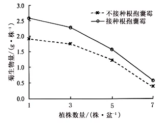 高考真题权威解读丨2026年安徽省高考生物试题参考答案及试题权威超详细解答-第21张图片-四季读书网