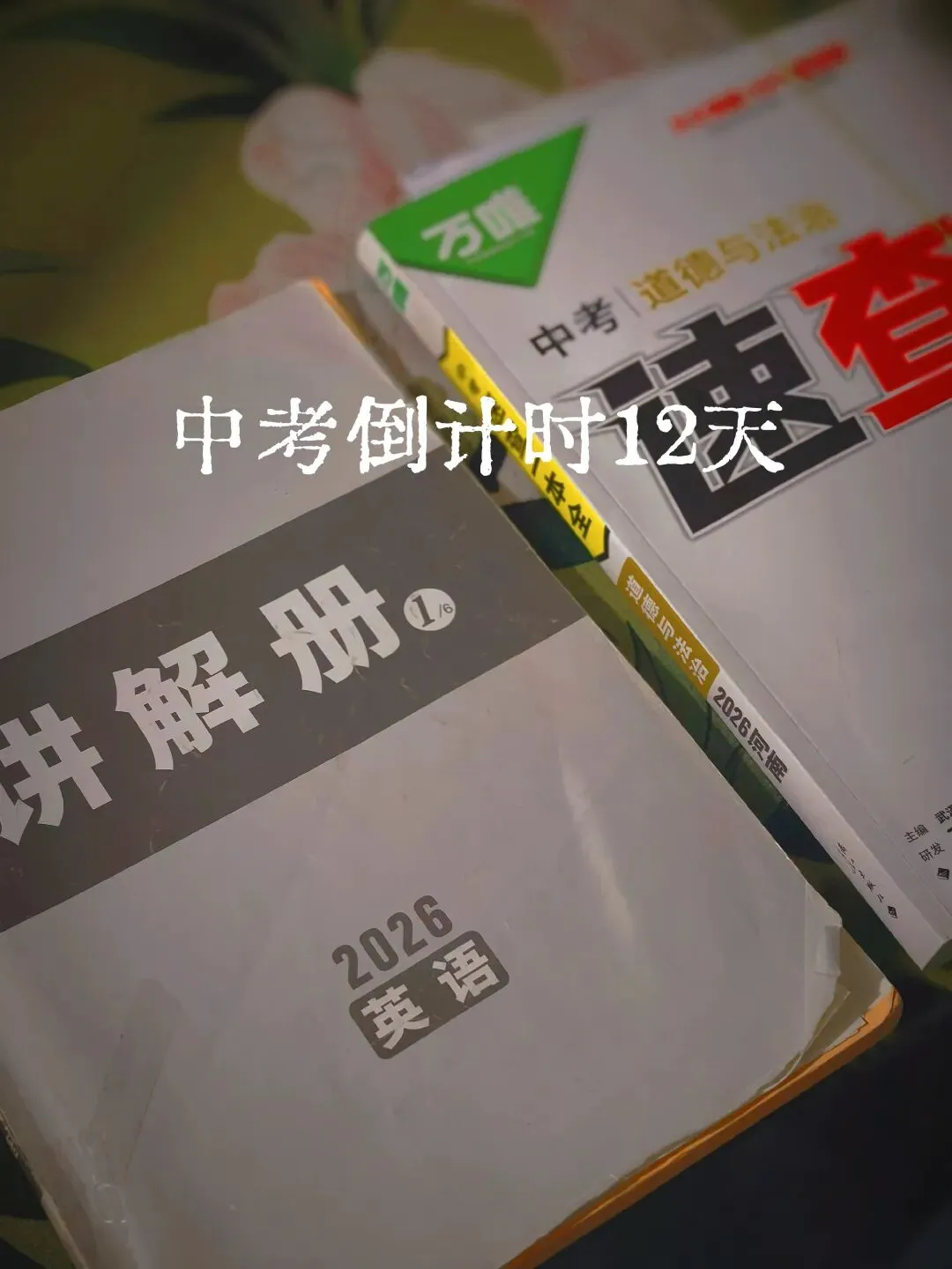 中考倒计时12天到底该不该给孩子报辅导班冲刺-第2张图片-四季读书网