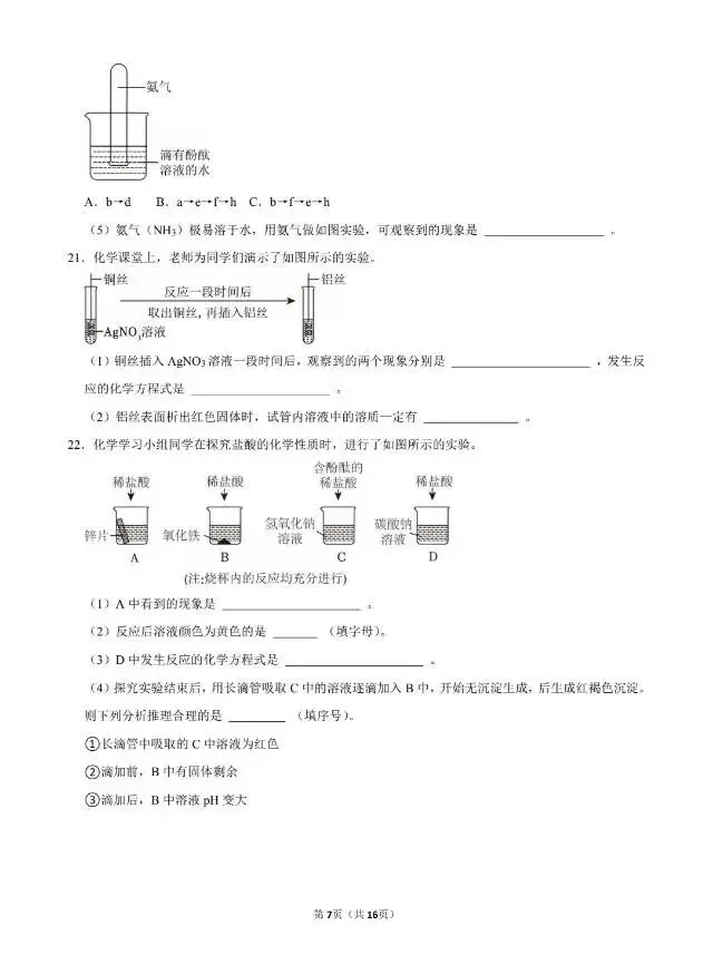 2026中考满分训练三 (共10期)-第8张图片-四季读书网