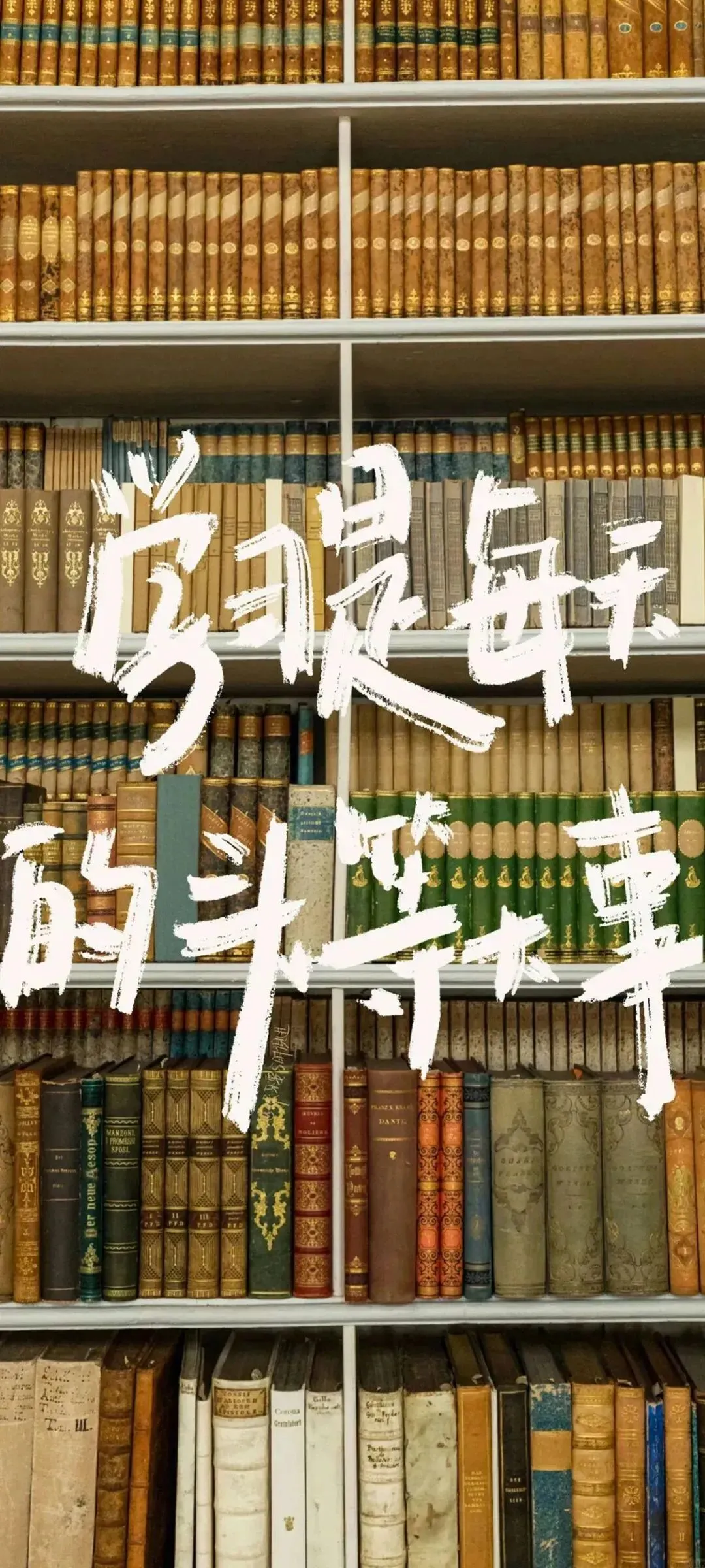 【中考祈福】教你 “合法作弊” 的三个锦囊妙计-第1张图片-四季读书网 【中考祈福】教你 “合法作弊” 的三个锦囊妙计-第1张图片-四季读书网