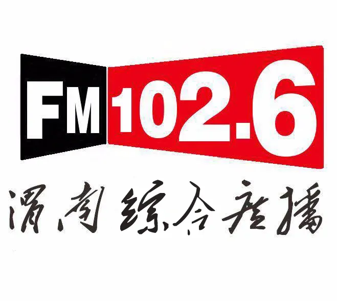 对话渭南|《笃行赴盛夏 圆梦正当时》中考系列访谈——英语篇-第15张图片-四季读书网 对话渭南|《笃行赴盛夏 圆梦正当时》中考系列访谈——英语篇-第15张图片-四季读书网
