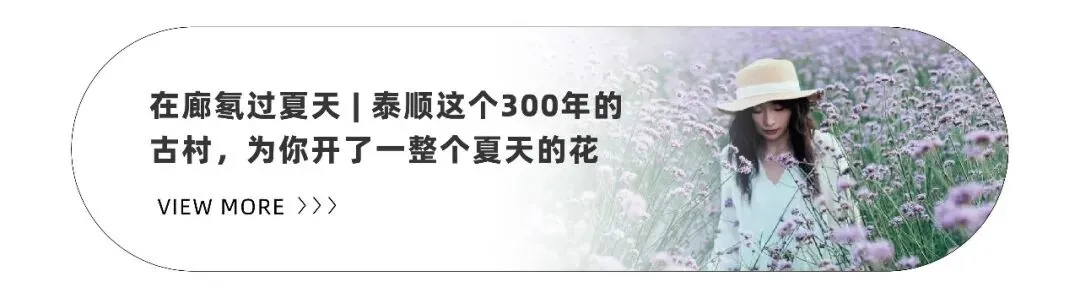 【内含福利】高考语文遇见廊桥!走出试卷,到山水间读懂这座千年古桥-第19张图片-四季读书网