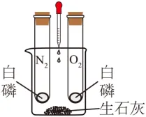 初中中考化学查漏补缺(十一)-第13张图片-四季读书网 初中中考化学查漏补缺(十一)-第13张图片-四季读书网