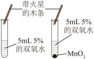 初中中考化学查漏补缺(十一)-第16张图片-四季读书网 初中中考化学查漏补缺(十一)-第16张图片-四季读书网