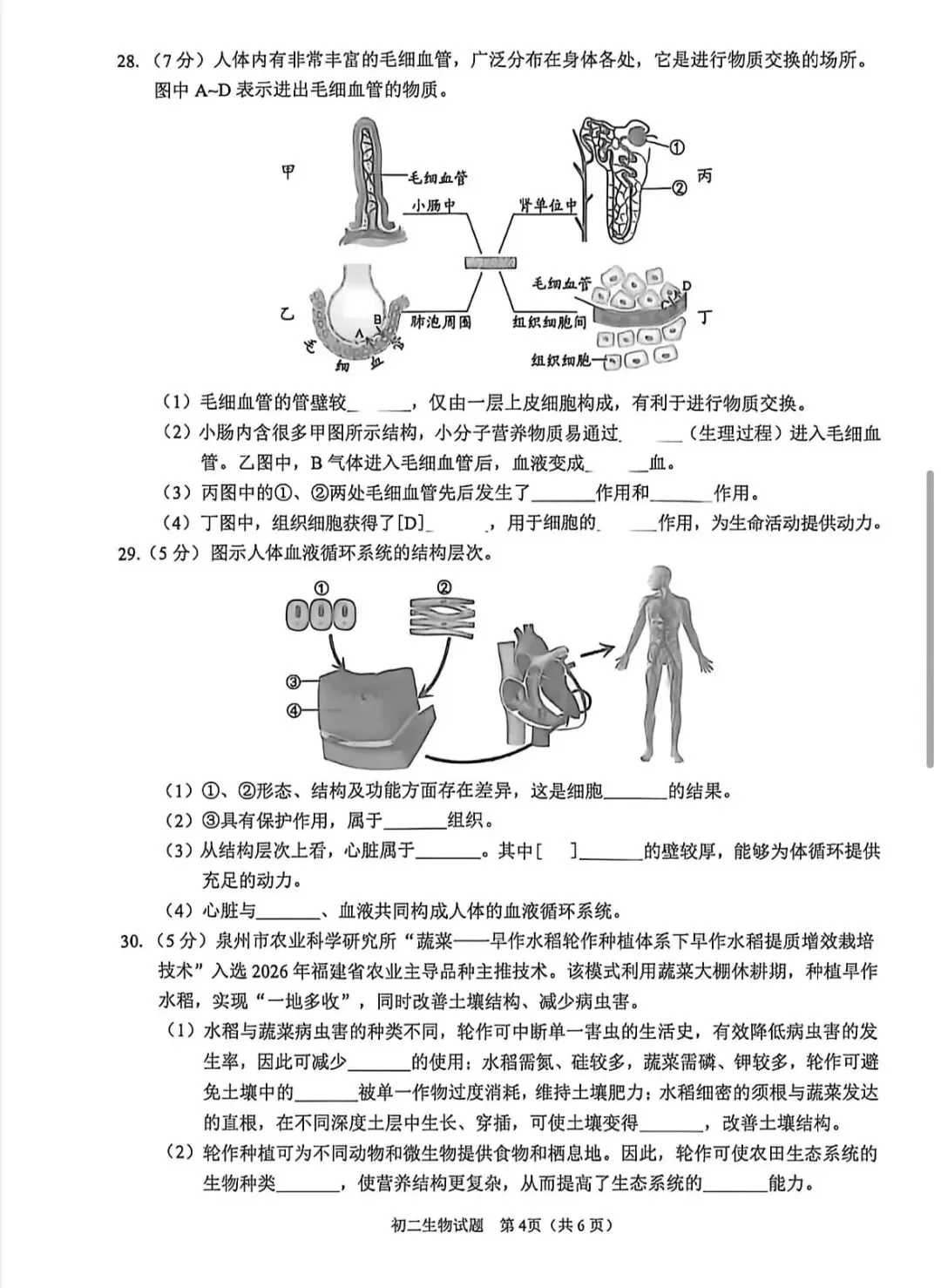 2026年福建泉州市质检真题+答案-第4张图片-四季读书网