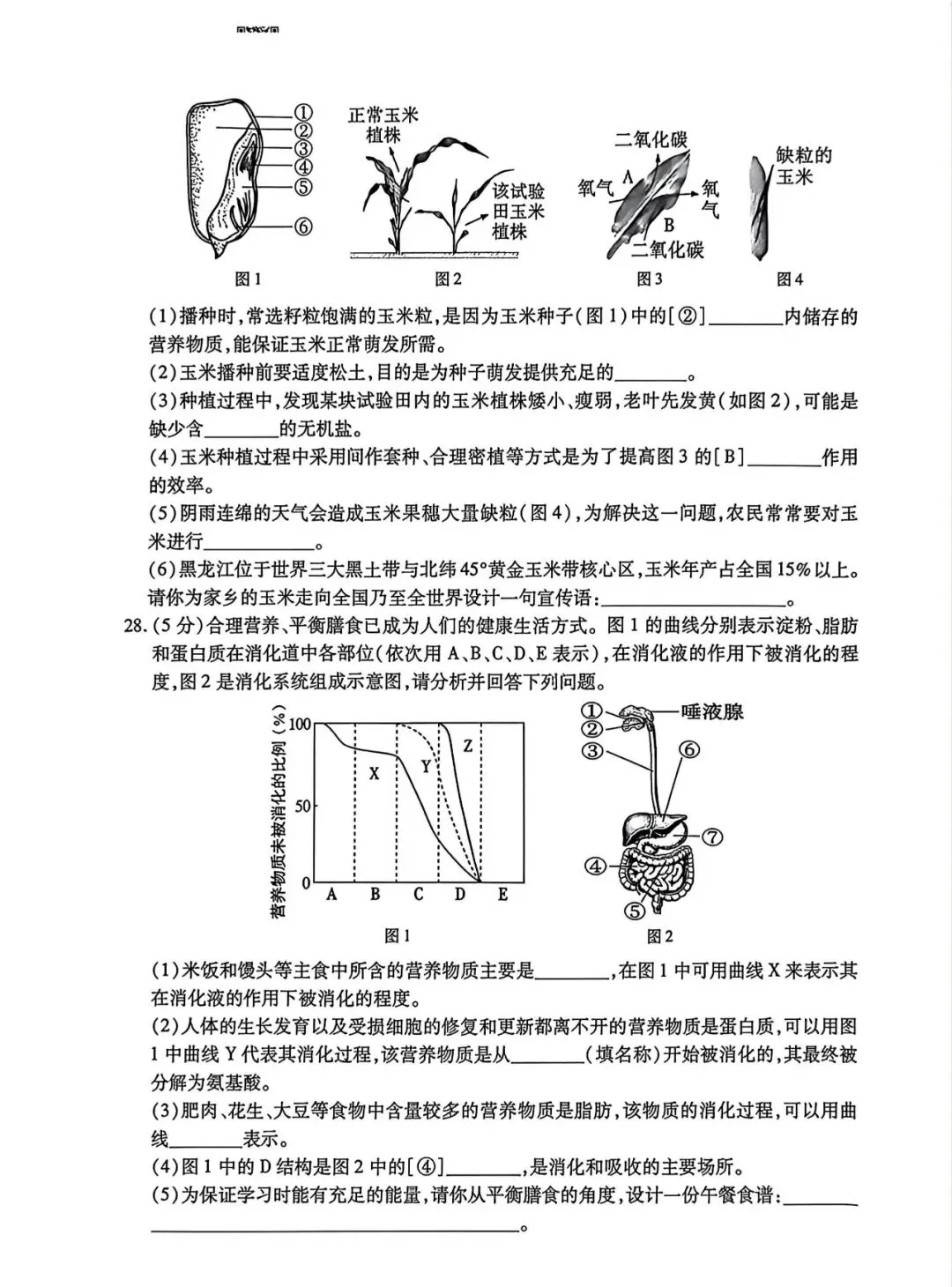 南岗区八年级模拟考试卷【生物】-第6张图片-四季读书网