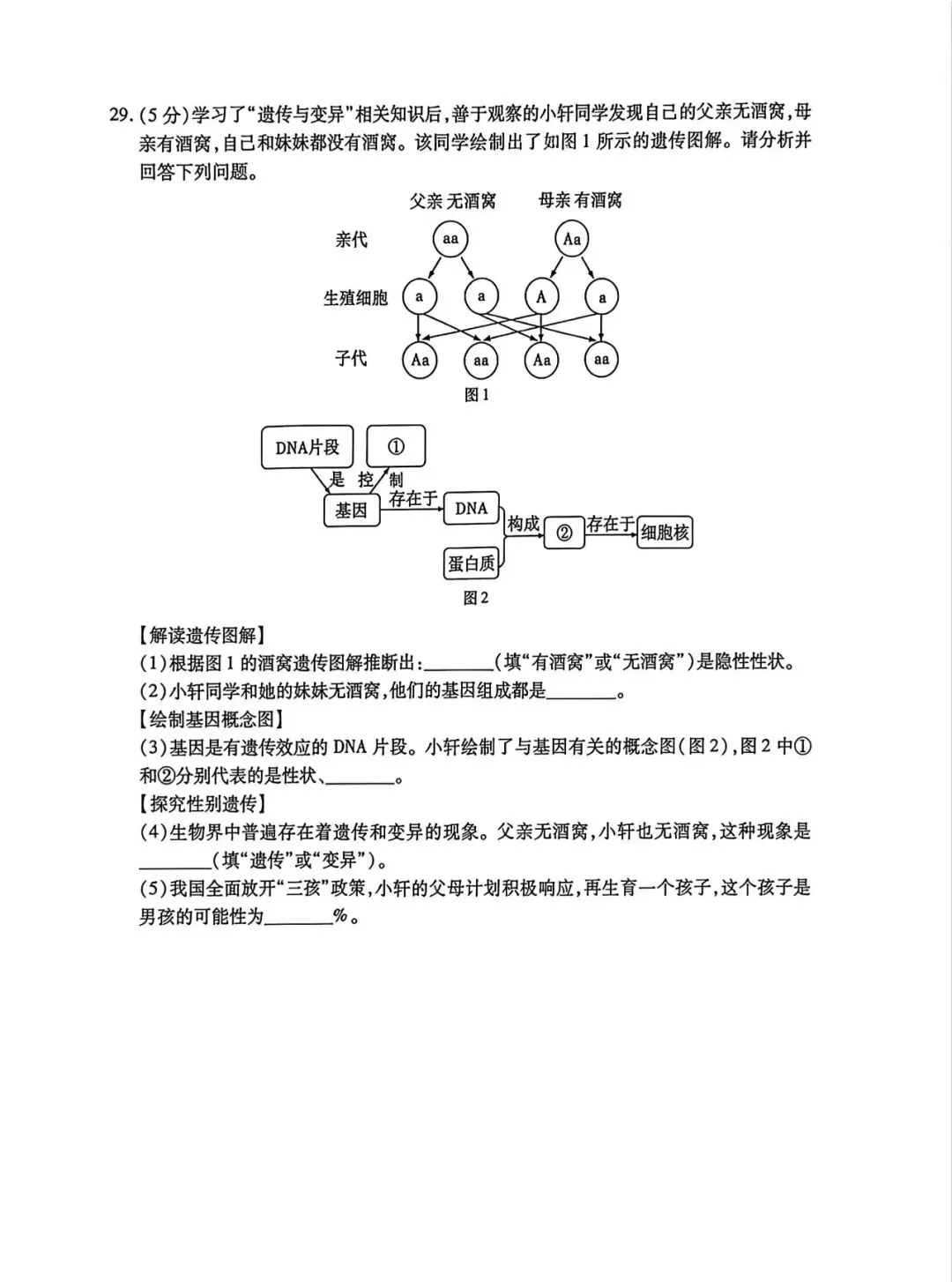 南岗区八年级模拟考试卷【生物】-第7张图片-四季读书网