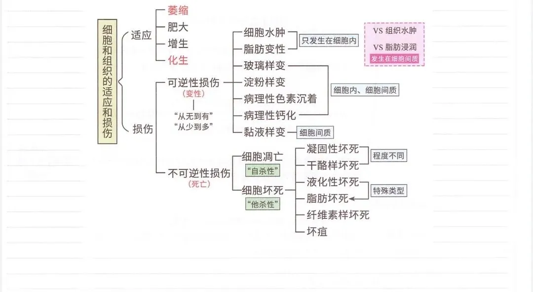 2026执业医师真题考点自查 2期(6.10 20211️⃣)-第6张图片-四季读书网
