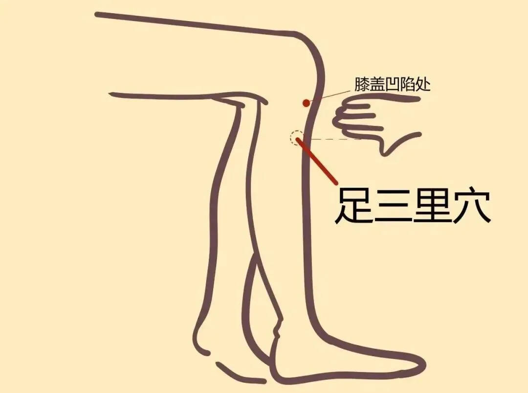 【中考倒计时】越想睡越清醒?专业医护支招,缓解失眠焦虑!-第19张图片-四季读书网 【中考倒计时】越想睡越清醒?专业医护支招,缓解失眠焦虑!-第19张图片-四季读书网