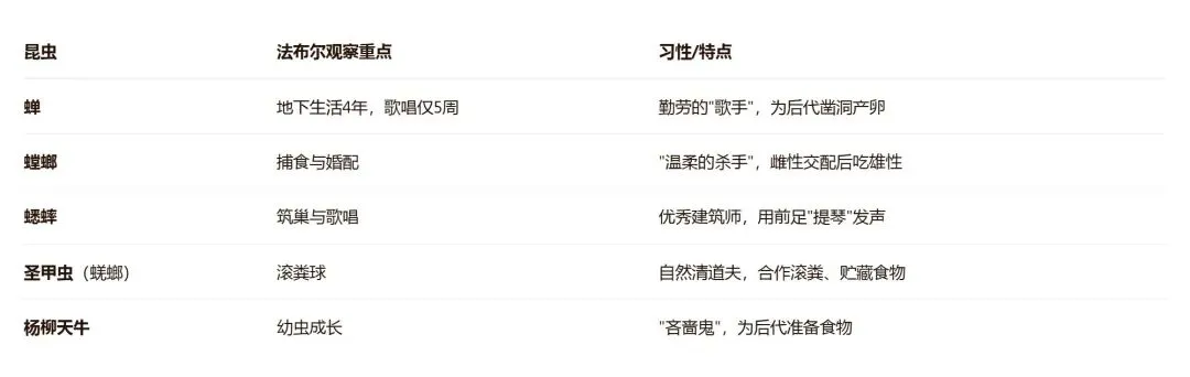 中考名著阅读人物卡片速记-第6张图片-四季读书网