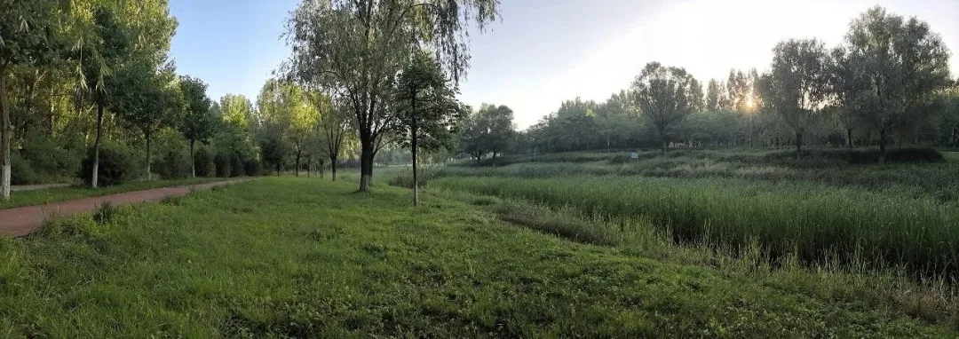 新高考试卷——读书,务必从博闻强记转为博闻强问-第6张图片-四季读书网 新高考试卷——读书,务必从博闻强记转为博闻强问-第6张图片-四季读书网