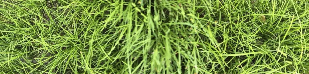新高考试卷——读书,务必从博闻强记转为博闻强问-第7张图片-四季读书网 新高考试卷——读书,务必从博闻强记转为博闻强问-第7张图片-四季读书网