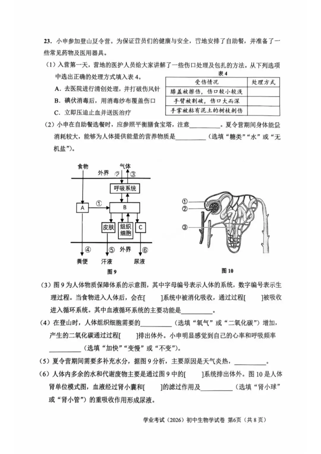 2026年上海市初中学业水平考试生物试卷(附答案)-第6张图片-四季读书网