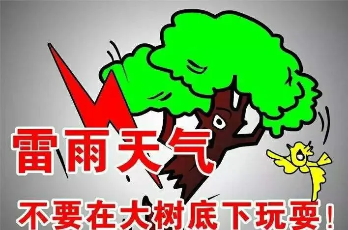 皖北经济技术学校2026年中考暨端午假期安全致家长的一封信-第12张图片-四季读书网 皖北经济技术学校2026年中考暨端午假期安全致家长的一封信-第12张图片-四季读书网
