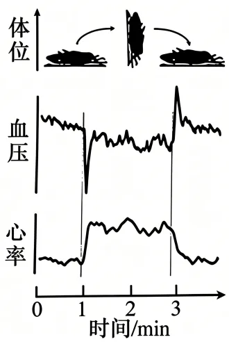 2026年高考安徽卷生物学高考真题-第3张图片-四季读书网 2026年高考安徽卷生物学高考真题-第3张图片-四季读书网